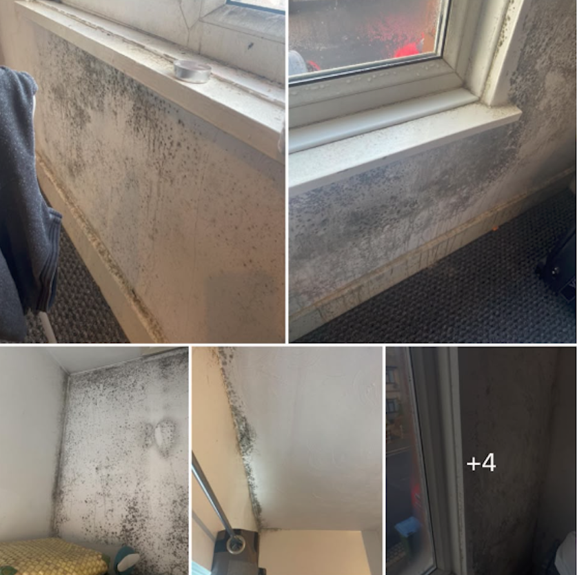 🏠 What Can a Routine Inspection Uncover?